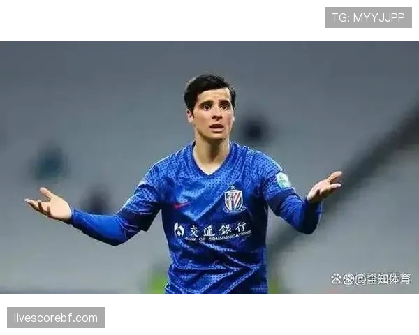 申花三大外援有望第四轮复出 盖伊特谢拉李可伤势恢复顺利